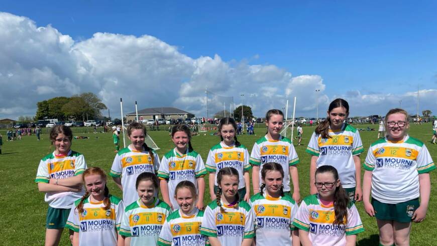 U12 Camogs in Action at County Blitz