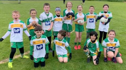 An Ríocht U9s had a great morning on Saturday at Newry Shamrock's, with four teams taking up over 50 children. Excellent football from both An Ríocht & Shamrocks. Excited children and proud coaches, well done to all on a great day! 

