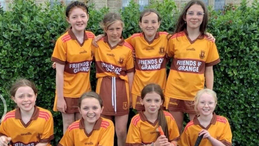 Camogie success in schools!